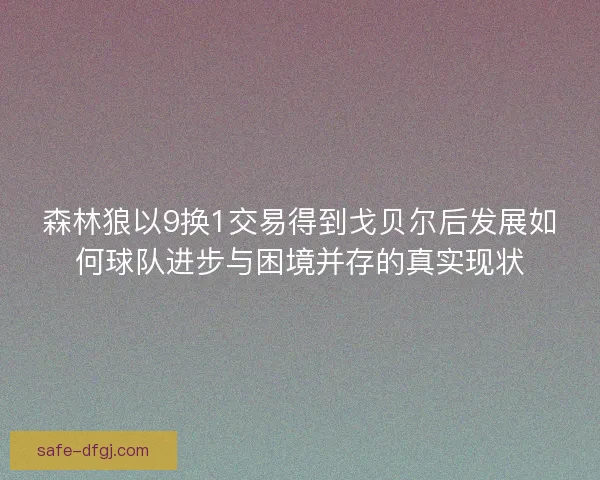 森林狼以9换1交易得到戈贝尔后发展如何球队进步与困境并存的真实现状