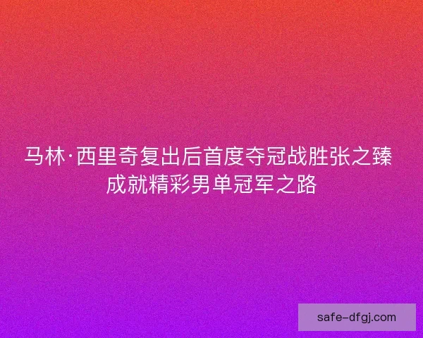 马林·西里奇复出后首度夺冠战胜张之臻 成就精彩男单冠军之路